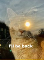 Горен кухненски шкаф с една врата и ниша Атлас 1